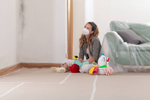 Reliable Mold Removal contractor in Cedar Grove, NC by Mold Remediation HQ